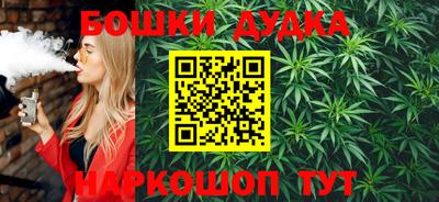 МДПВ Будённовск