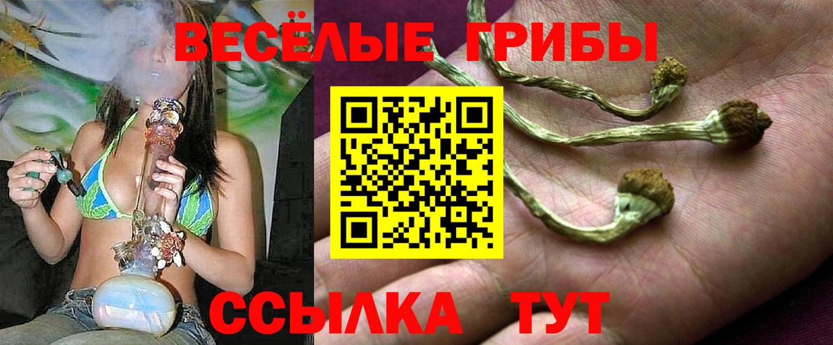Галлюциногенные грибы мицелий Краснотурьинск